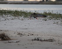 IMG_3965