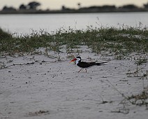 IMG_3967