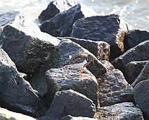 IMG_4767