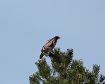IMG_6063