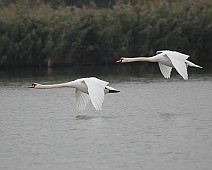 IMG_6173