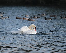 IMG_6441