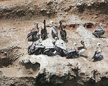 IMG_4474