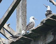 IMG_4478 Jan van Gent