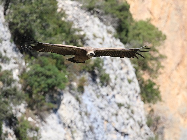 Noord Spanje