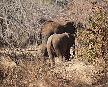 IMG_2111