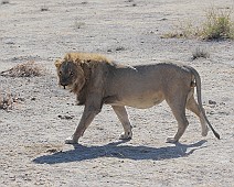 IMG_2911