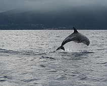 IMG_4099